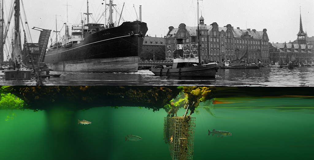 Historien om havnen