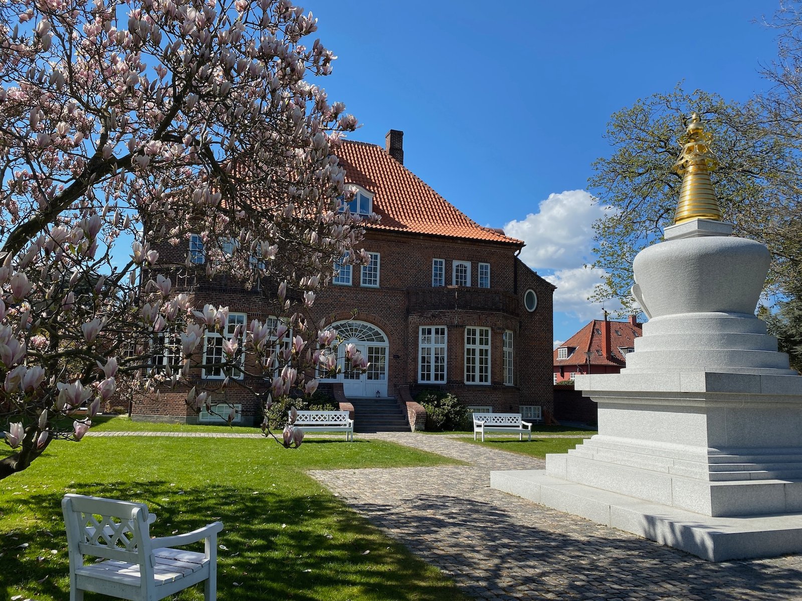 Diamantvejsbuddhismen: Buddhas tidløse visdom gennem meditation i hverdagen