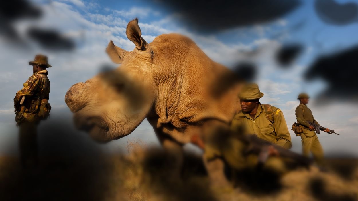 World Unseen – en fotoudstilling du gerne må røre