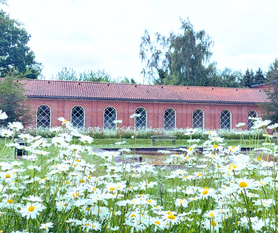 FUNEBARIUM – en udstilling om døden